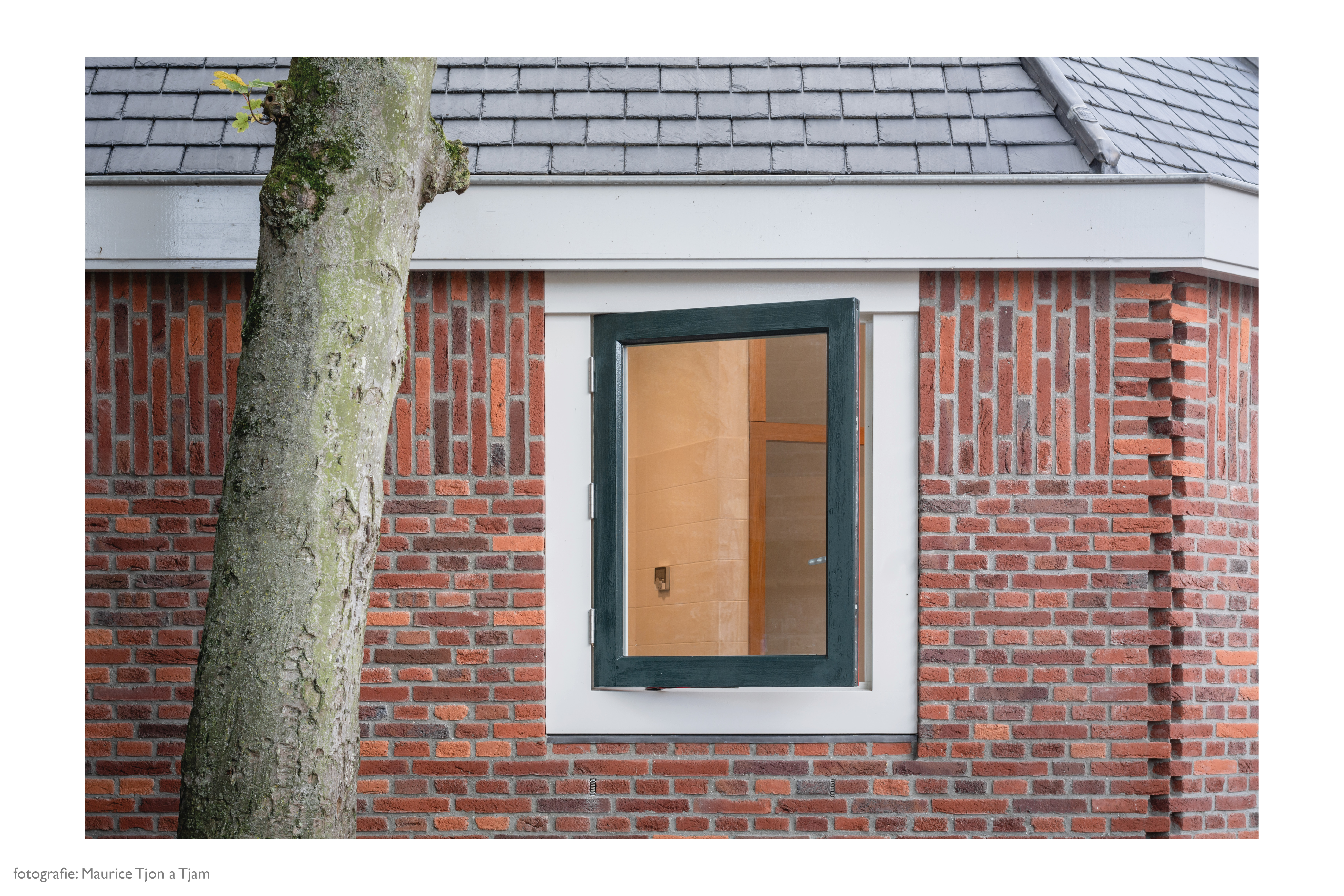 plaatjes website16